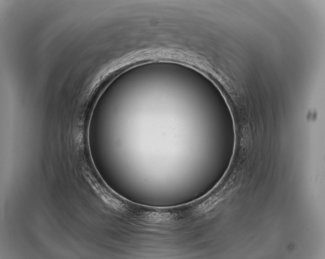 X0000097881499200803141308