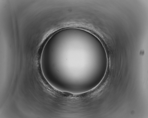 X0000097881501200803141308