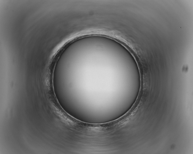 X0000097881502200803141308