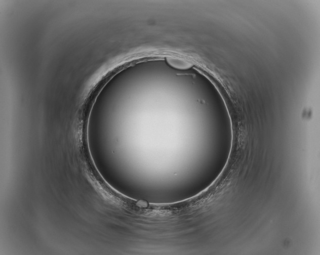 X0000097881503200803141308