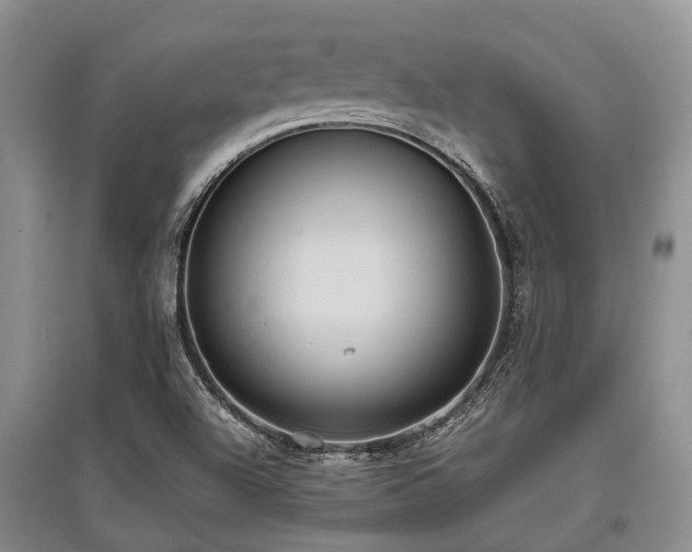 X0000097881504200803141308