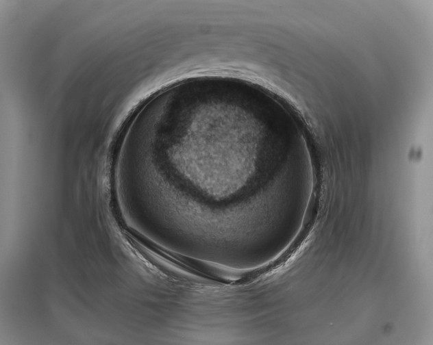 X0000097881506200803141308
