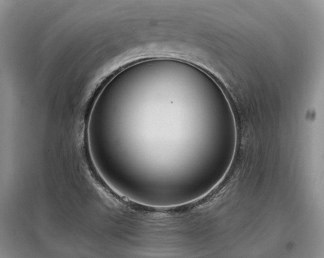 X0000097881507200803141308