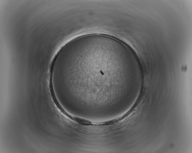 X0000097881508200803141308
