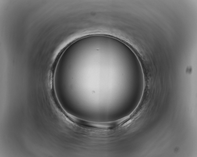 X0000097881510200803141308