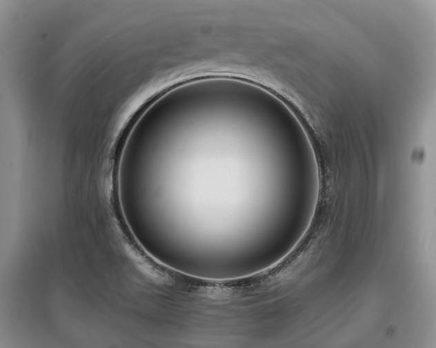 X0000097881511200803141308