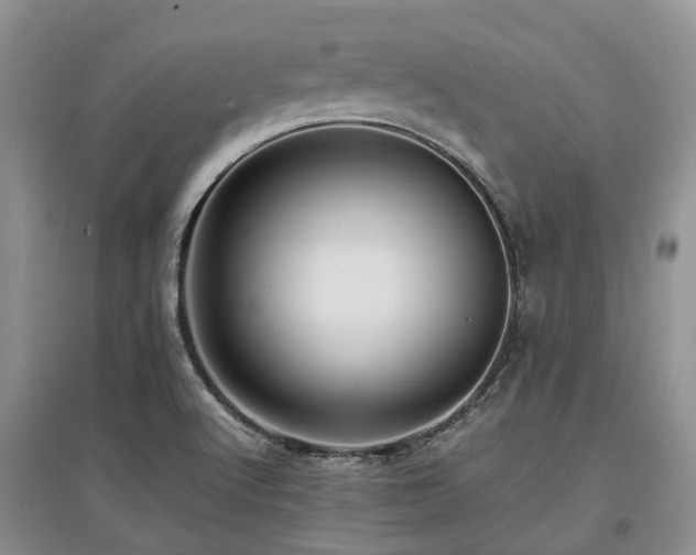 X0000097881512200803141308