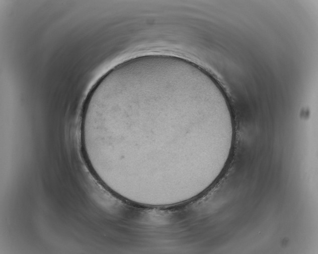X0000097881514200803141308