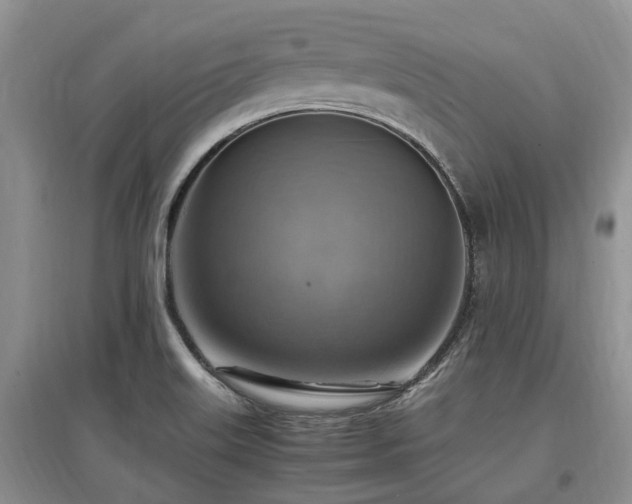 X0000097881515200803141308