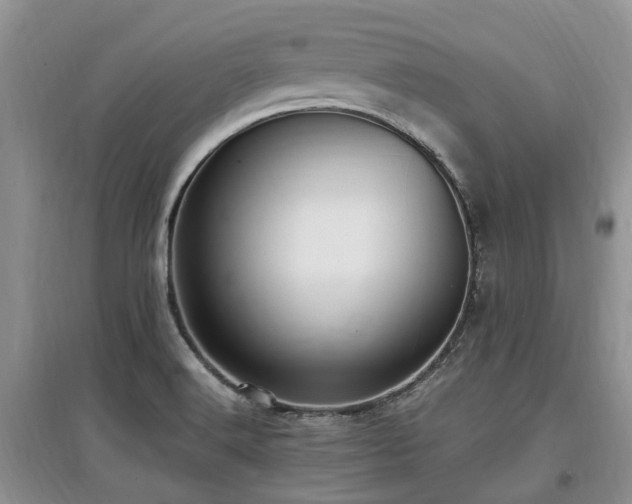 X0000097881516200803141308