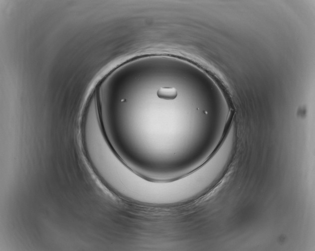 X0000097881517200803141308