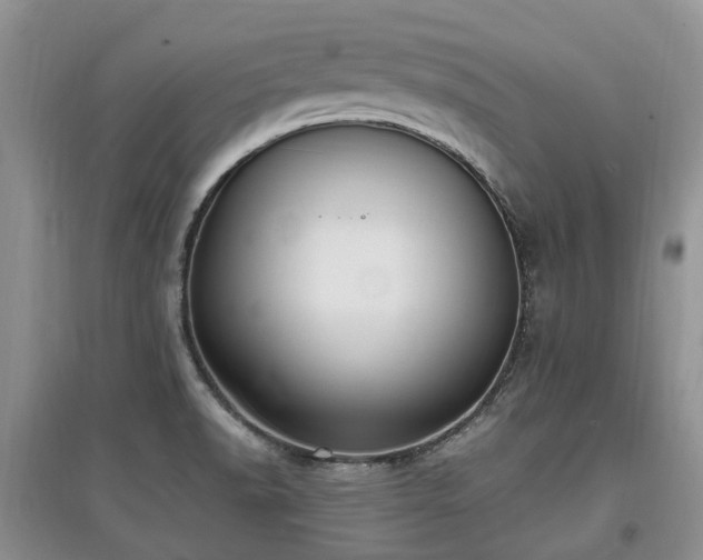 X0000097881518200803141308