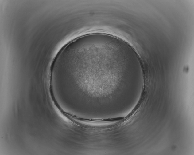 X0000097881519200803141308