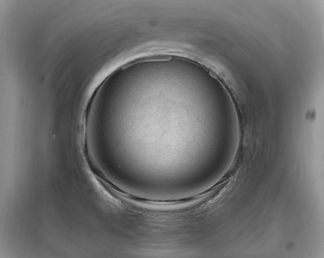 X0000097881520200803141309