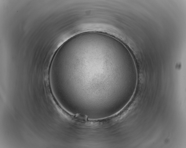 X0000097881521200803141309