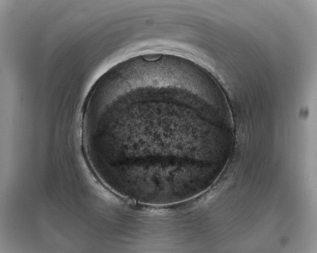 X0000097881522200803141309
