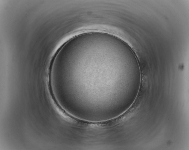 X0000097881523200803141309