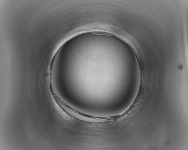 X0000097881524200803141309