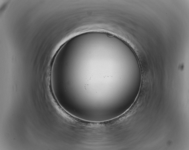 X0000097881526200803141309