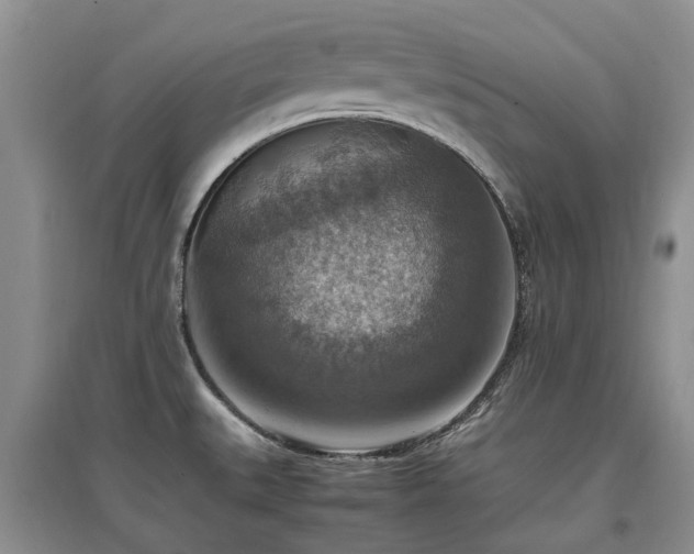 X0000097881527200803141309