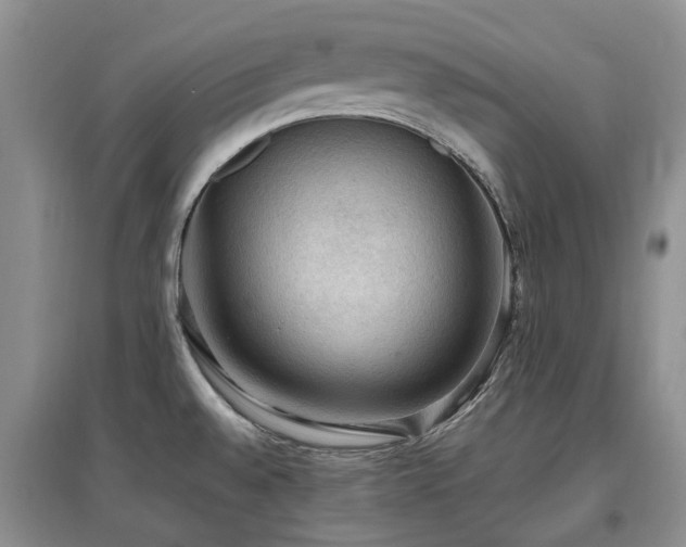 X0000097881528200803141309