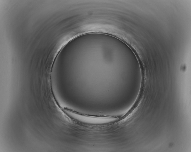 X0000097881529200803141309