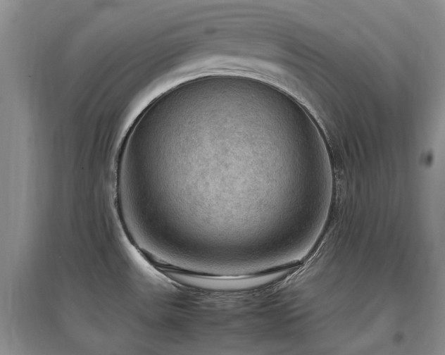X0000097881531200803141309