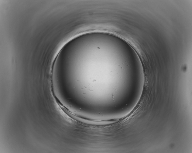 X0000097881532200803141309