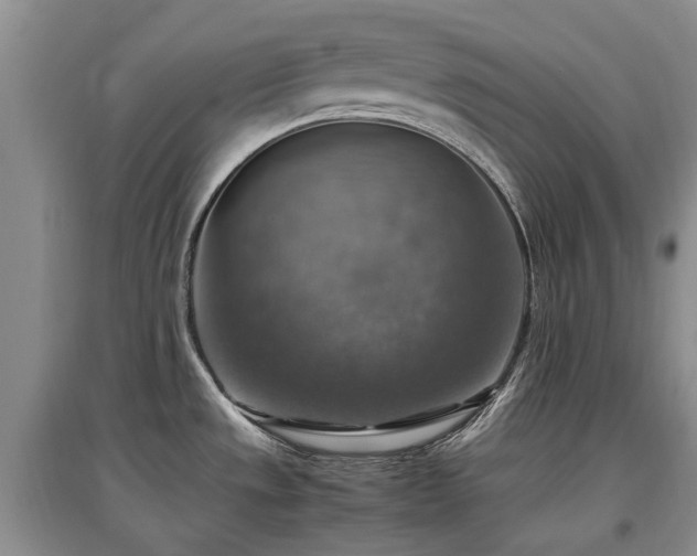 X0000097881533200803141309