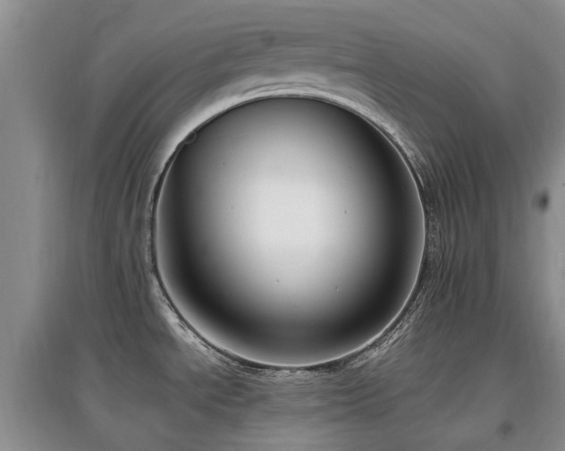 X0000097881534200803141309