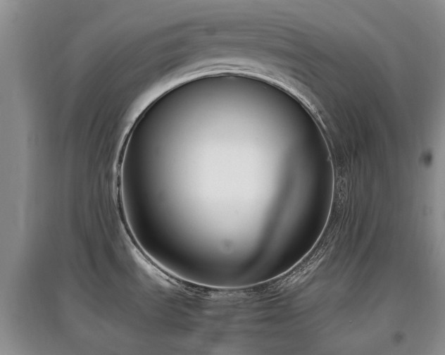 X0000097881535200803141309