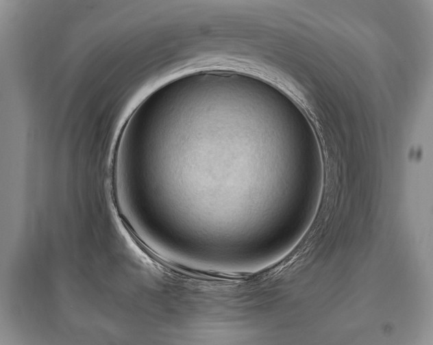 X0000097881536200803141309