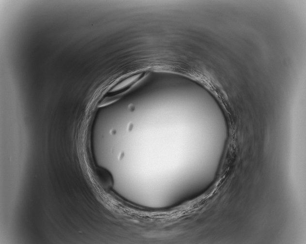 X0000097880001200803211343