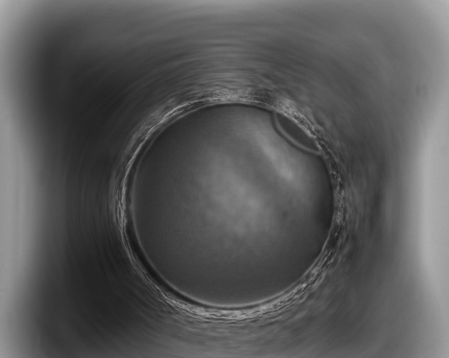 X0000097880002200803211343