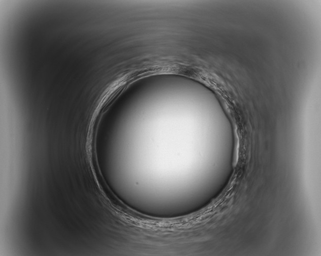 X0000097880003200803211343