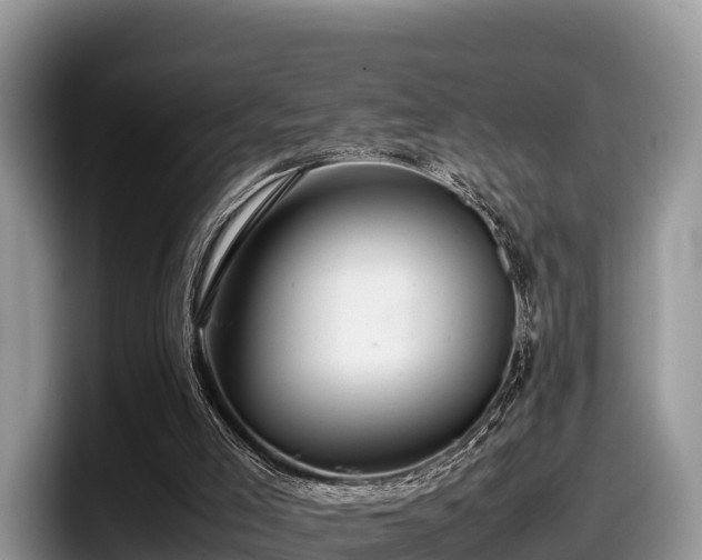 X0000097880005200803211343