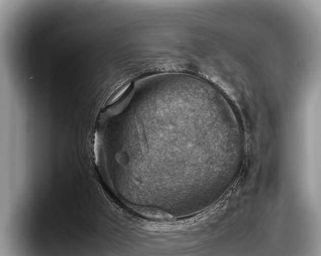 X0000097880009200803211343