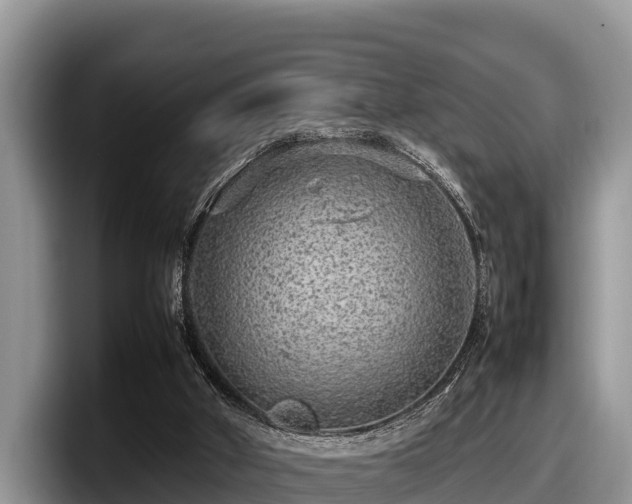 X0000097880010200803211343