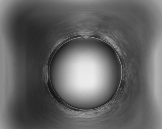 X0000097880011200803211343