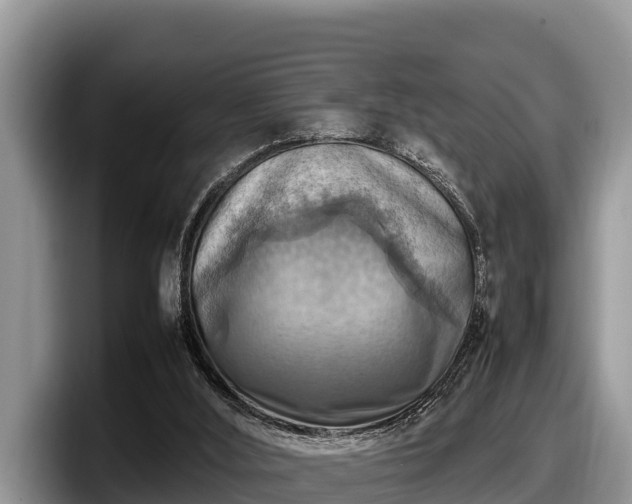 X0000097880012200803211343