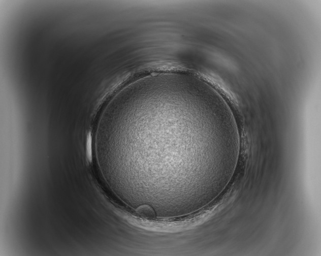 X0000097880014200803211343