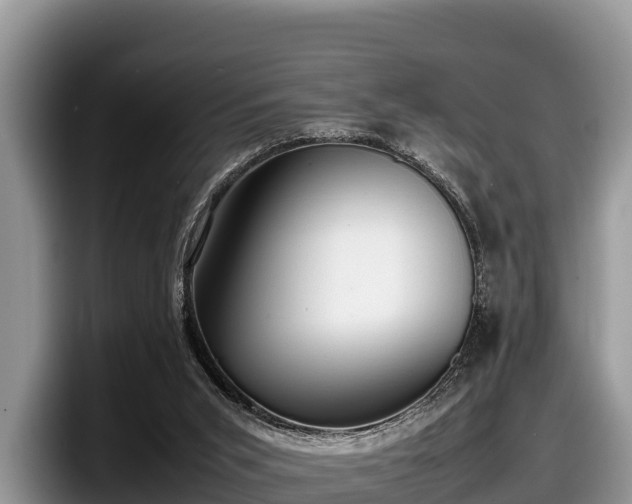 X0000097880015200803211343