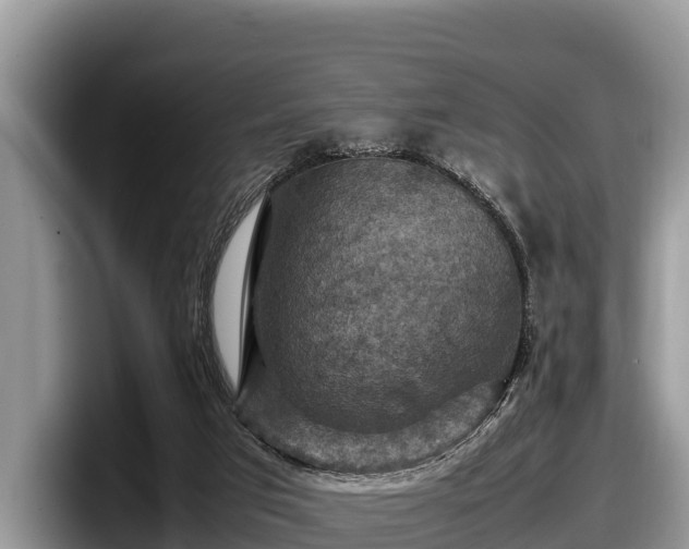 X0000097880017200803211343