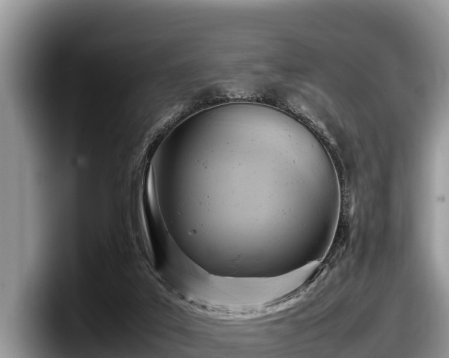 X0000097880019200803211343