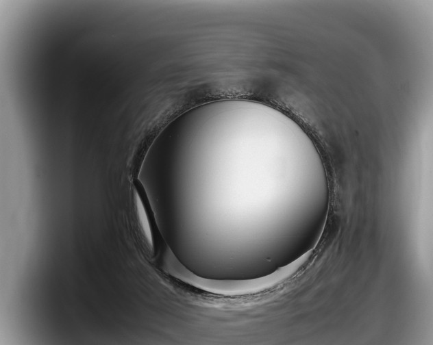 X0000097880021200803211343