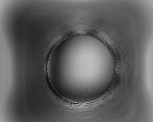 X0000097880023200803211343