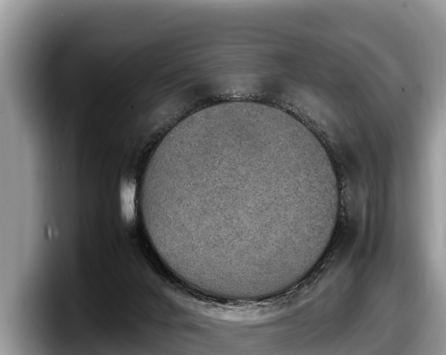 X0000097880024200803211343