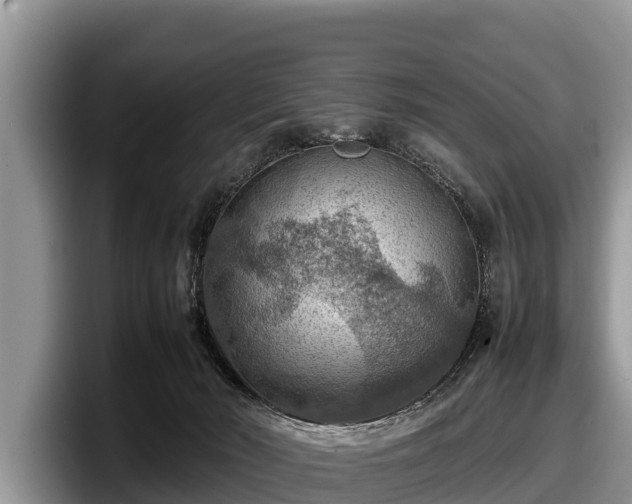 X0000097880030200803211343