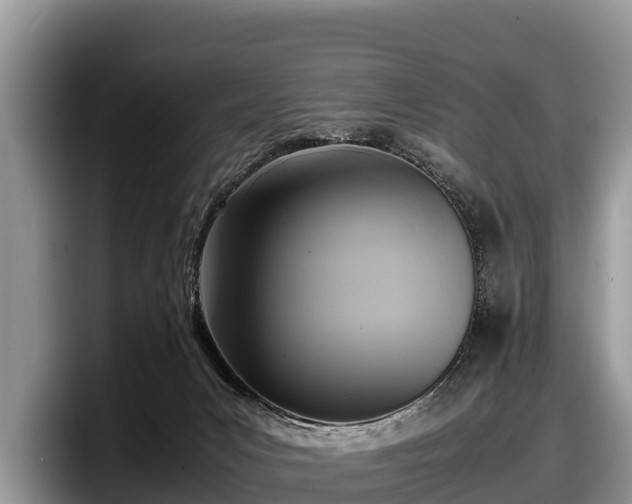 X0000097880031200803211343