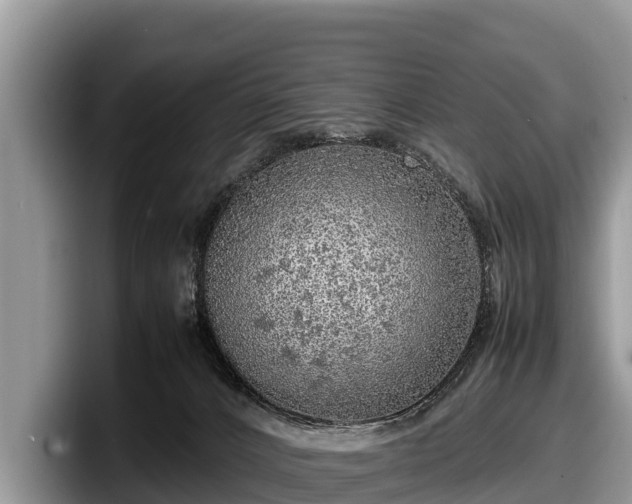 X0000097880032200803211343